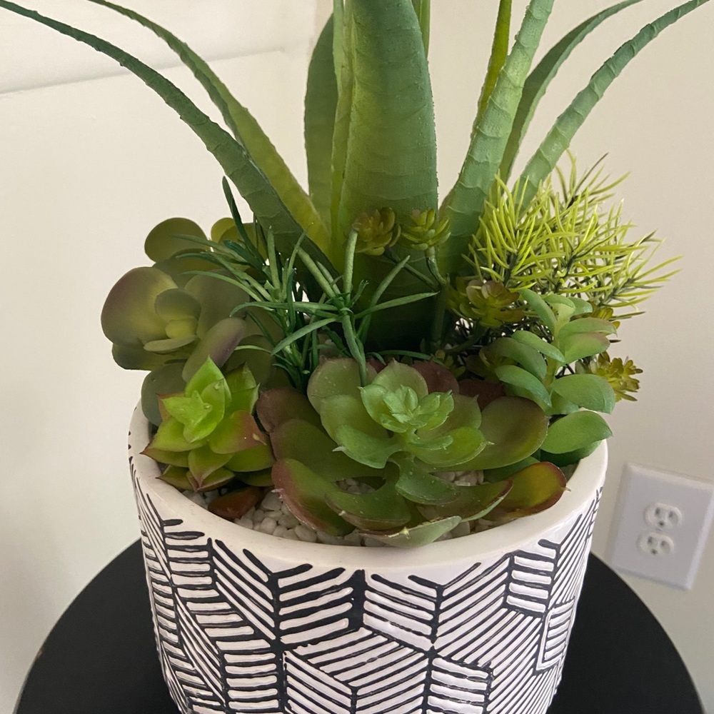 Artificial Succulent Plant Medley